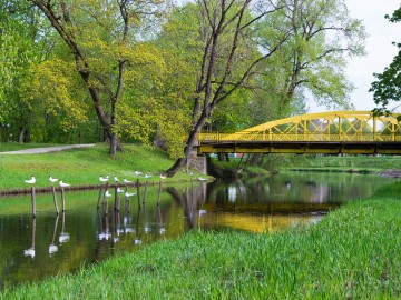 Geltonas metalinis tiltas per Sysos upe